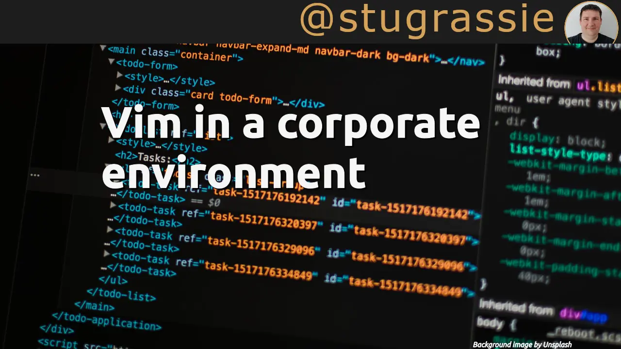Vim in a corporate environment